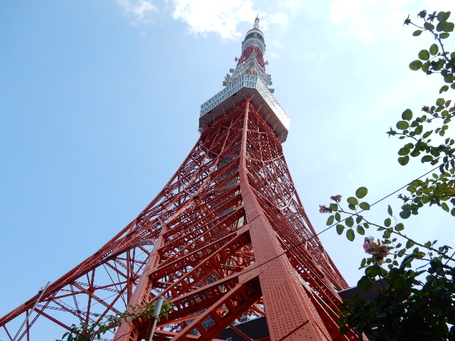 東京タワー2