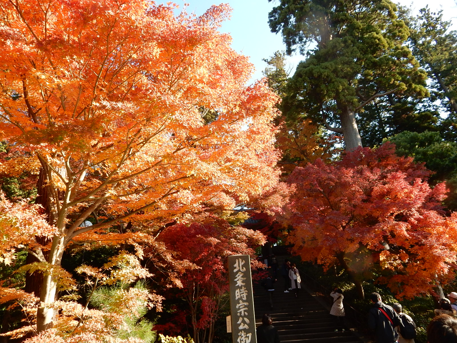 鎌倉の厳選紅葉スポット おすすめ紅葉巡りコース ぶらぶら観光マップ
